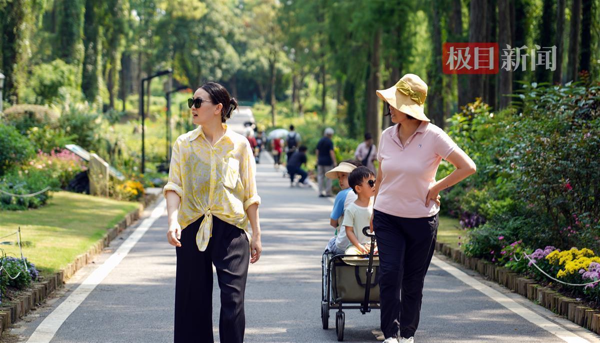 足球现金体育官网
